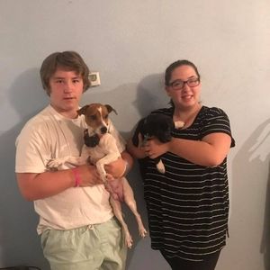 Meet your Posher, Marshall